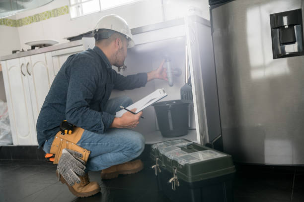 Best Commercial Plumbing Services  in Spring Grove, IL