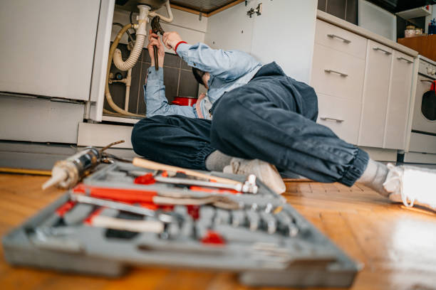 Best Sewer Line Repair  in Spring Grove, IL