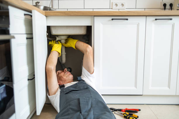Best Emergency Plumbing Repair  in Spring Grove, IL