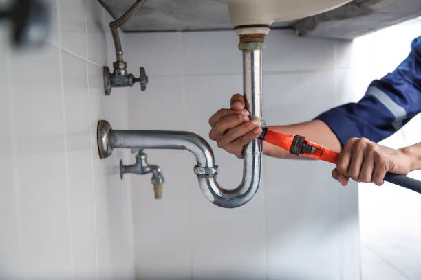Best Residential Plumbing Services  in Spring Grove, IL