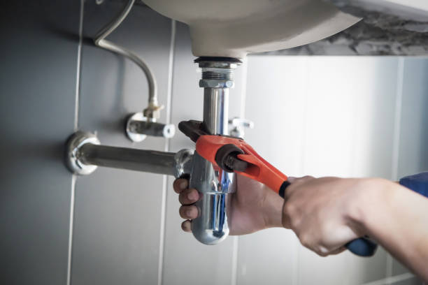 Best Emergency Plumbing Repair  in Spring Grove, IL
