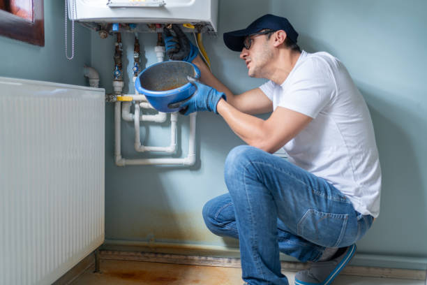 Best Water Heater Repair  in Spring Grove, IL