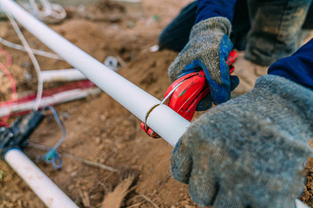 Best Clogged Drain Plumber  in Spring Grove, IL